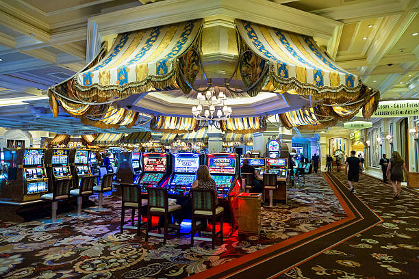 Aviator slot game interface on paushoki login